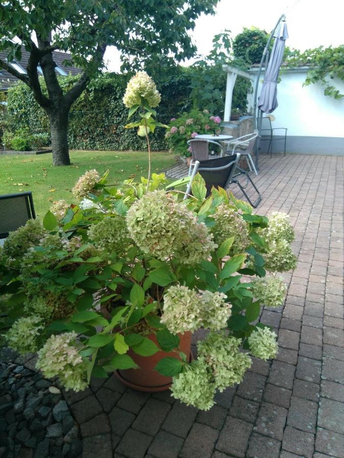 Ferienwohnung Kirschbluete Billigheim-Ingenheim Exterior photo